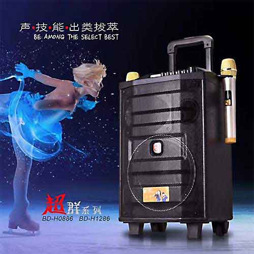 Chuyên phân phối sỉ - lẻ mặt hàng loa kéo di động