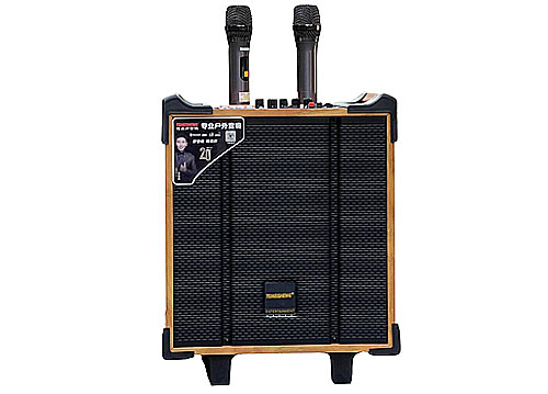 Loa karaoke mini Temeisheng QX-0870, loa kéo cỡ nhỏ, bass 3 tấc