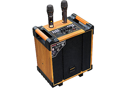 Loa karaoke mini Temeisheng QX-0870, loa kéo cỡ nhỏ, bass 3 tấc