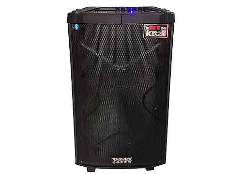 Loa kéo di động Temeisheng QX-1227 bass 12 inch