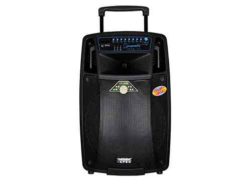 Loa kéo di động Temeisheng SL15-01 4 tấc