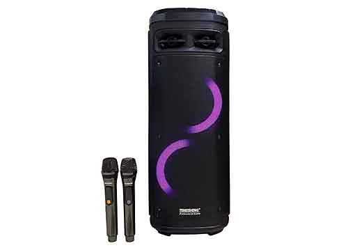 Loa kéo Temeisheng A210-06, loa karaoke 2 bass, có đèn led