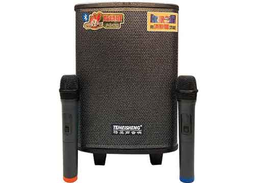 Loa kéo Temeisheng QX08-62, loa gỗ 2.5 tấc, RMS 60W