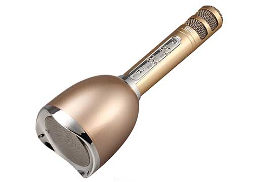 Microphone Karaoke Kèm Loa Tosing Plus