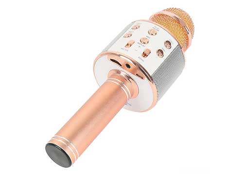 Microphone Karaoke Kèm Loa WSTER WS-858