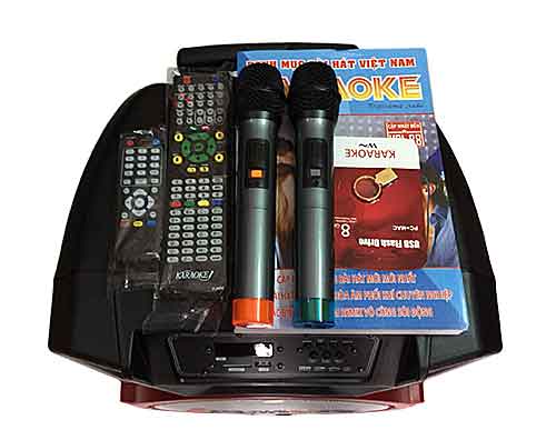 Loa kéo di động Bose BT-290 4 tấc