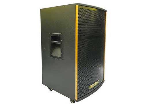 Loa Kéo Di Động Feiyang A198 - 5 Tấc