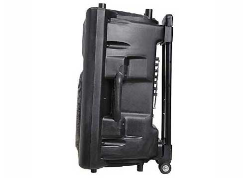 Loa Kéo Di Động Temeisheng DP-2305L