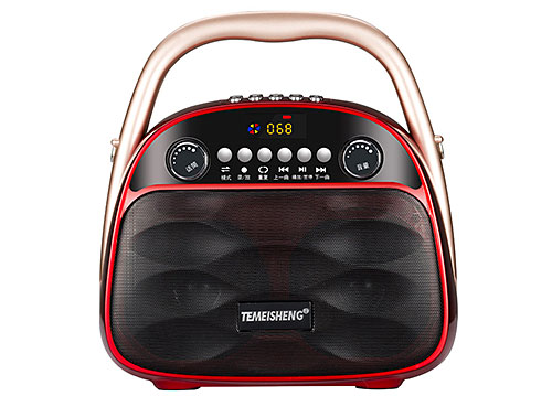 Loa bluetooth, karaoke Temeisheng A4-6