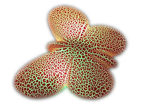 Loa bluetooth mini S850 hình con bướm