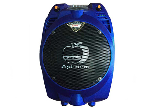 Loa bluetooth - trợ giảng Apl.dem TP-H065, kèm 2 mic VHF