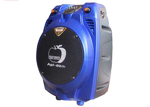 Loa bluetooth - trợ giảng Apl.dem TP-H065, kèm 2 mic VHF