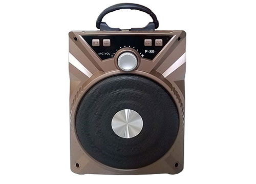 Loa bluetooth-trợ giảng-karaoke P-89