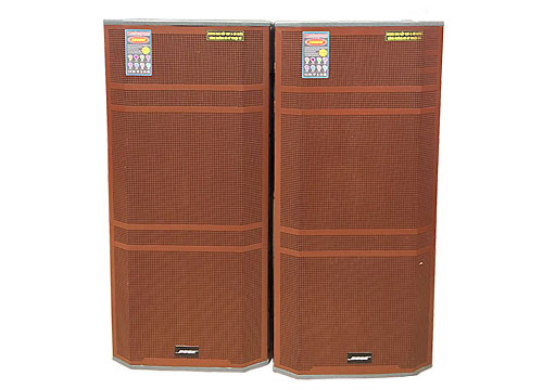 Loa điện cặp Bose PRO DXK-715 bass đôi 5 tấc