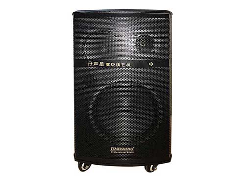 Loa di động Temeisheng A170, loa kéo 3 đường tiếng, max 600W