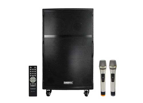 Loa di động Temeisheng A175, loa kéo karaoke, công suất max 800W