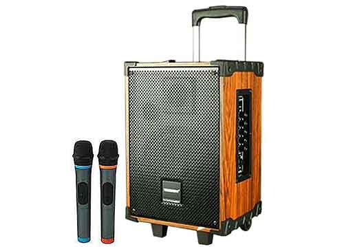 Loa di động Temeisheng A8-42, loa kéo 2.5 tấc, max 150W