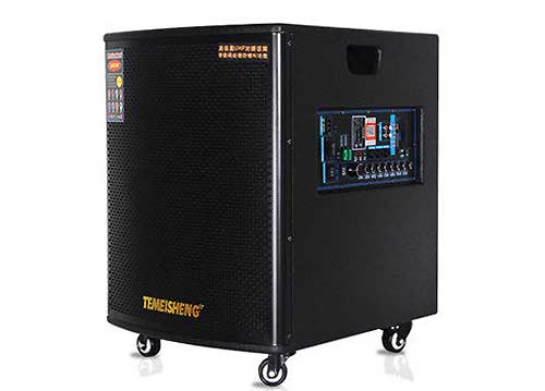 Loa Di Động Temeisheng GD15-03 5 Tấc