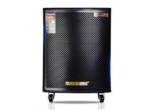 Loa Di Động Temeisheng GD15-03 5 Tấc