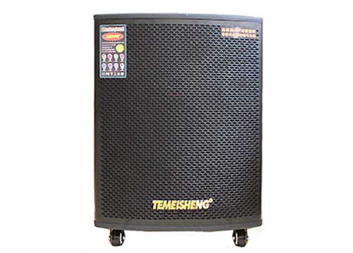 Loa Di Động Temeisheng Pro 1203 3 Tấc