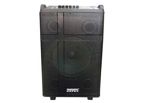 Loa di động Temeisheng QX1224, loa kéo thùng gỗ, công suất 450W