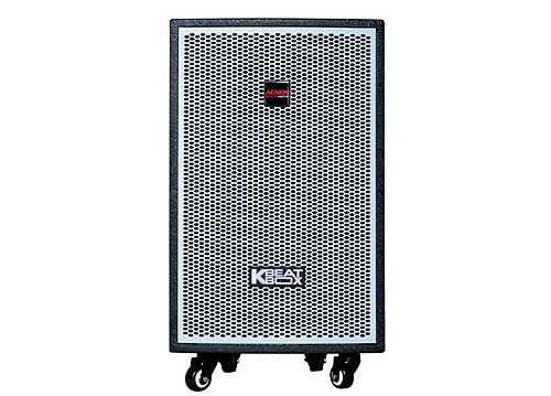 Loa điện ACNOS KDNet-3011, loa karaoke vỏ gỗ, RMS 300W