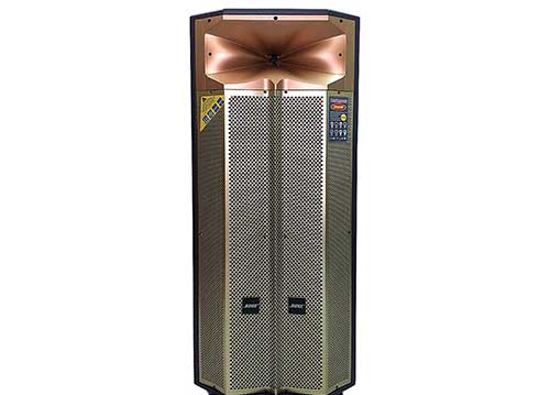 Loa kéo Bose BT-850 bass đôi, loa thùng gỗ, công suất đỉnh 1200W