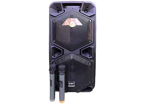 Loa kéo CXF GL-102, loa karaoke 2 bass, công suất max 200W