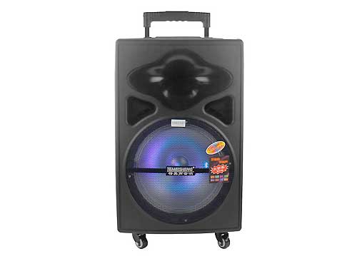 Loa Kéo Di Động Temeisheng A15-5 4 tấc