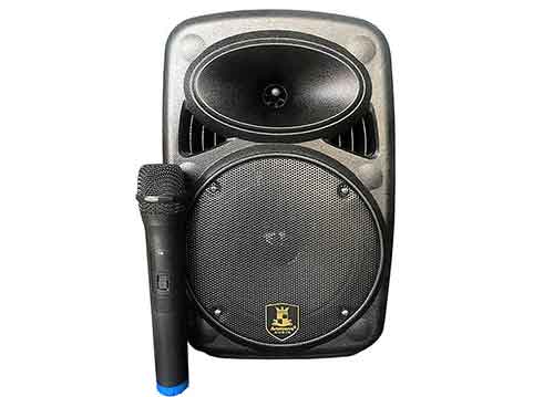 Loa kéo di động Acrowns CH-M08