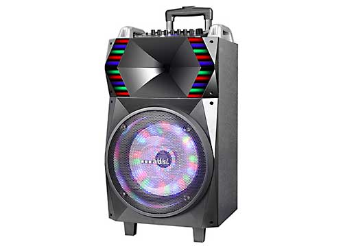 Loa kéo di động A/d/s BL-T12B 4 tấc