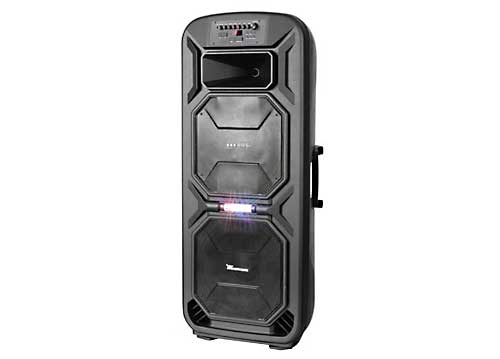 Loa kéo di động a/d/s DE-212F 4 tấc đôi