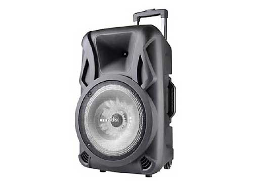 Loa kéo di động a/d/s TV-12BS 3.5 tấc