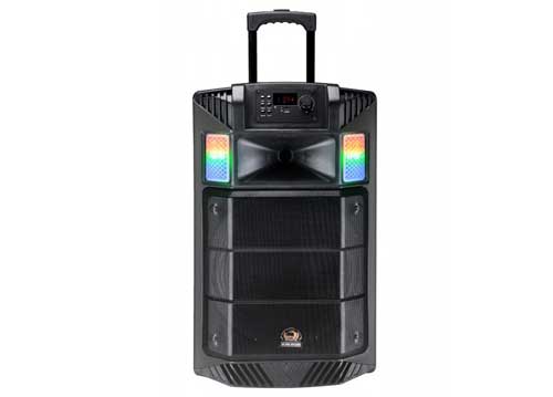 Loa Kéo Di Động Apl.Dem TP-H1567 D15 4 tấc