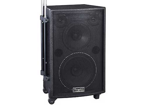 Loa Kéo Di Động Bosa AV-1088