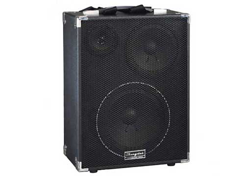 Loa Kéo Di Động Bosa AV-803