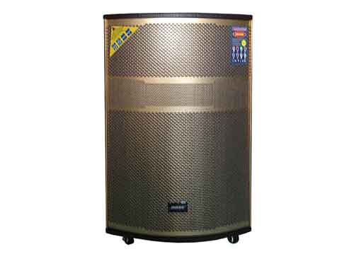 Loa kéo di động Bose 15A 4.5 tấc