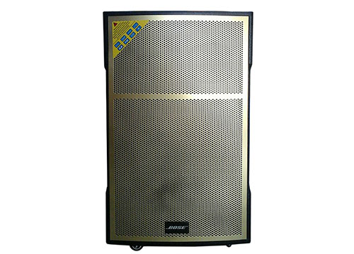 Loa kéo di động Bose 4455