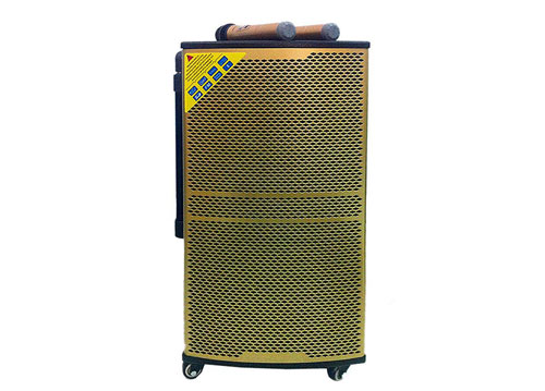 Loa kéo di động Bose DK-3112 3 tấc