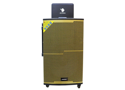 Loa kéo di động Bose TV-4500 LCD 9 inch