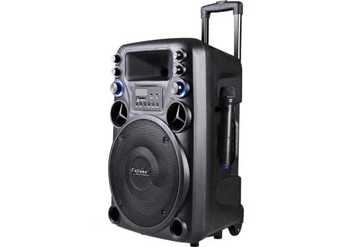 Loa Kéo Di Động Caliana TO-12 - 3 Tấc