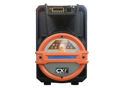 Loa kéo di động CXF GL-802, kèm 2 mic không dây