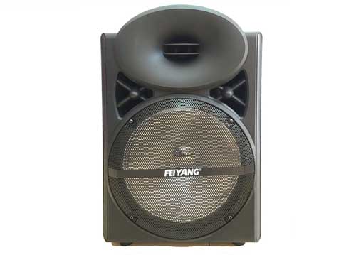 Loa Kéo Di Động Feiyang A12-3