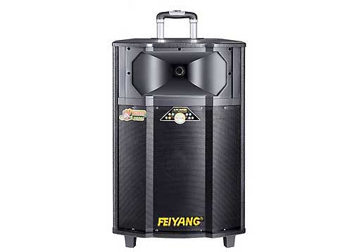 Loa Kéo Di Động Feiyang QX-1509 - 5 Tấc