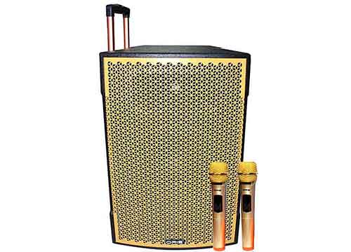 Loa kéo di động ORIS TO-818B