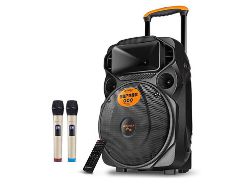 Loa kéo di động Sansui SA12-66 3 tấc