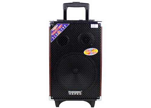 Loa kéo di động Temeisheng 3 tấc Q10S, công suất 100W