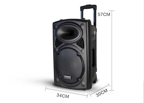 Loa Kéo Di Động Temeisheng 3 Tấc DP-297