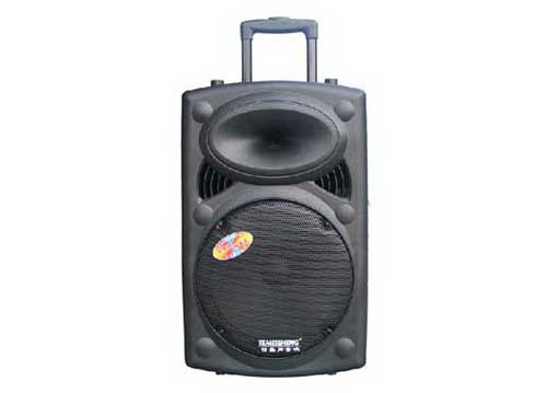 Loa Kéo Di Động Temeisheng 3 Tấc DP-297L