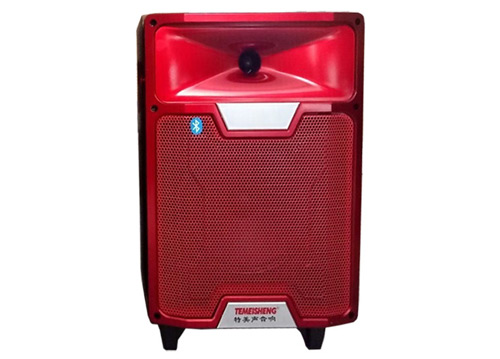 Loa Kéo Di Động Temeisheng A12-1 3 tấc